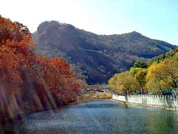 管家婆黑白马报图库，淋浴器喷头